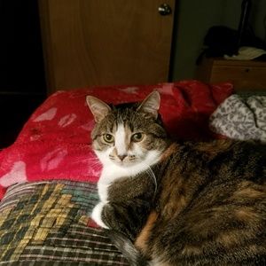 Meet your Posher, Sabrina